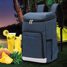 Insulated Bag