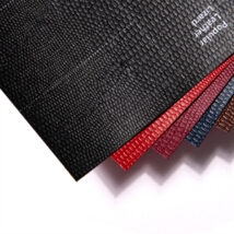 Leather Lizard